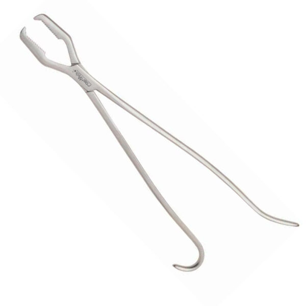 Lane Bone Holding Forceps